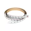 Delta 12 ft. x 3/4 in. Right Tape English Units