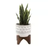 Flora Bunda 12 in. Snake Plant in Black GEO Paint White Ceramic Pot on Wood Stand
