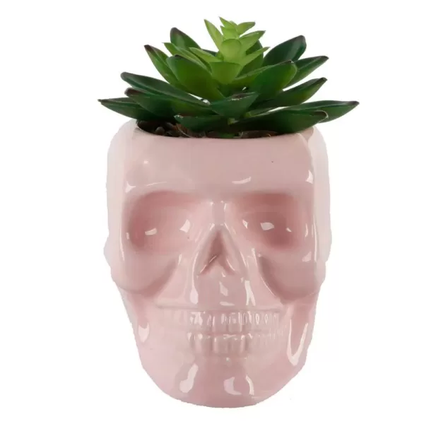 Flora Bunda 4.5 in. x 3.5 in. Artificial Succulent in Pink Ceramic Sugar Skull