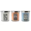 LUMABASE Fresh Collection Scented Candles in 10 oz. Glass Jars (Set of 3)