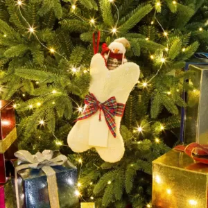 Glitzhome 12.5 in. Hooked Christmas Decor Stocking with Bone Shape