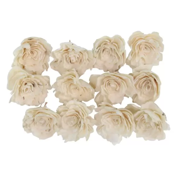 LITTON LANE White Sola Boxed Carnation and Rose Flowers (Set of 2)