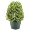 National Tree Company 15 in. Boxwood Artificial Tree in Dark Green Round Plastic Urn