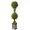 National Tree Company 60 in. Mini Tea Leaf 2 Ball Topiary in Silver Square Pot