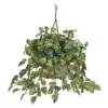 Nearly Natural Pothos Hanging Basket Silk Plant