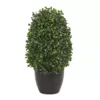 Nearly Natural Indoor/Outdoor 13 In. Boxwood Topiary Artificial Plant UV Resistant