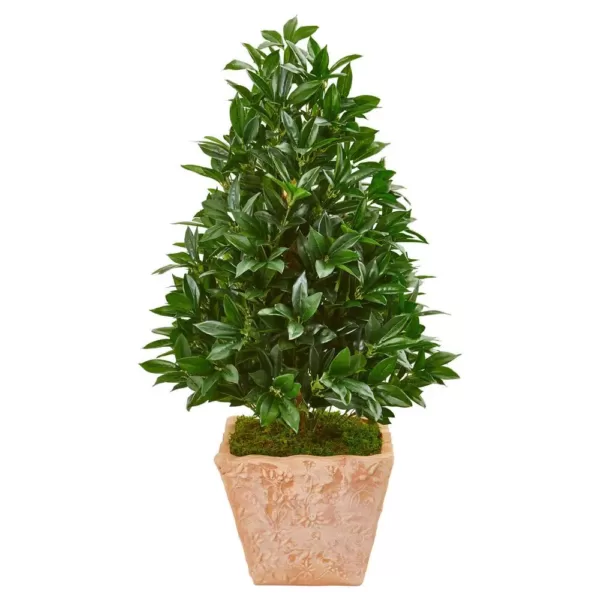 Nearly Natural Indoor/Outdoor 39-In. Bay Leaf Cone Topiary Artificial Tree in Terra Cotta Planter