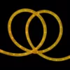 Northlight 18 ft. Gold Incandescent Indoor/Outdoor Christmas Rope Lights with 1 in. Bulb Spacing
