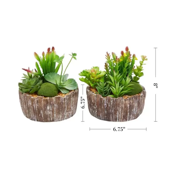 Pure Garden 8 in. Faux Succulent Arrangement with Decorative Concrete Planter (Set of 2)