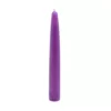 Zest Candle 6 in. Purple Taper Candles (Set of 12)