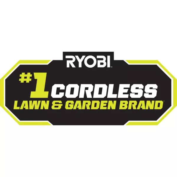 RYOBI ONE+ 9 in. 18-Volt Lithium-Ion Cordless Edger - 2.0 Ah Battery and Charger Included