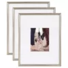 Kate and Laurel Adlynn 16 in. x 20 in. matted to 8 in. x10 in. Silver Picture Frames (Set of 3)