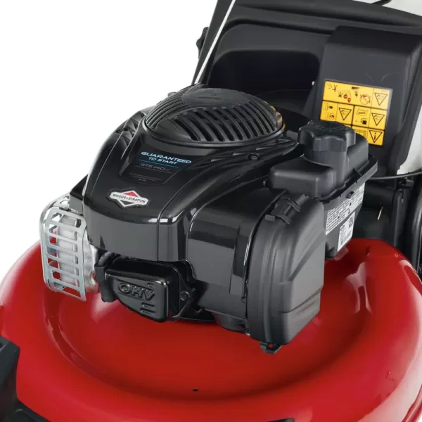 Toro Recycler 21 in. Briggs & Stratton High Wheel Gas Walk Behind Push Lawn Mower with Bagger