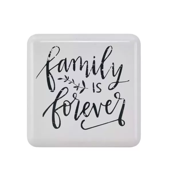 DANYA B "Family is Forever" Farmhouse Home Decor Metal Wall Art