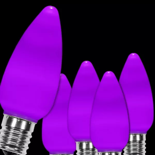 Wintergreen Lighting OptiCore C9 LED Purple Smooth/Opaque Replacement Light Bulbs (25-Pack)