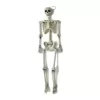Worth Imports 60 in. Halloween Life Size Hanging Skeleton